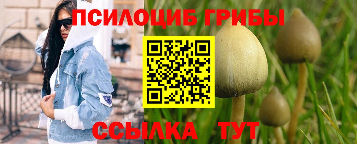 Усть-Джегута  закладка  Вход с VPN  Галлюциногенные грибы ЛСД 