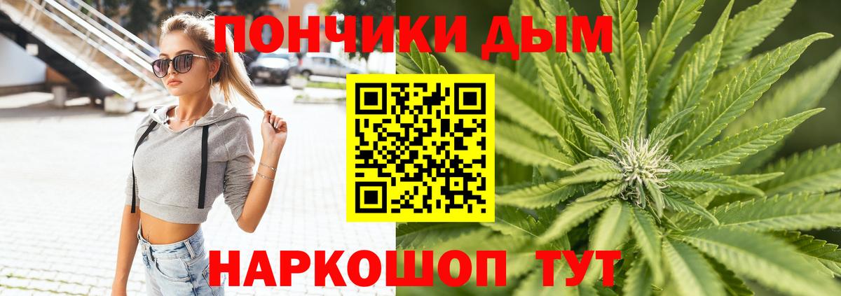 Бошки Шишки сатива  Каннабис сатива  Усть-Джегута  Бошки Шишки Amnesia  Вход с VPN 